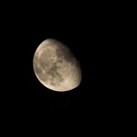 Луна в ночь на 13.10.2014г. :: Елена Люлева