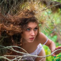 Girl in forest :: Сергей Радин