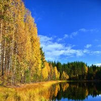 Осень в Карелии :: Вячеслав 
