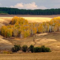 Золотая осень :: Владимир Грачев