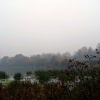 Туман на реке :: Natali 