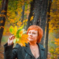 Осень в парке :: Дмитрий Соколов