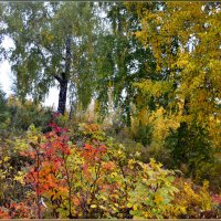 Осень по склону горы, катится листьями вниз. :: galina tihonova