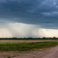 Перед грозой :: Андрей Гриничев