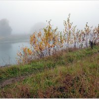 Осенний туман (6). :: Владимир Валов