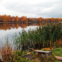 пруд :: Евгения Бакулина 