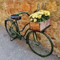 Вторая жизнь старого велосипеда :: Лина Пушок 