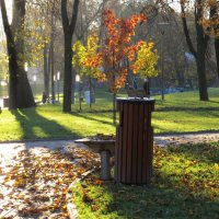 Осенние зарисовки. :: АнитА Лященко