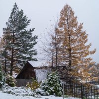 где то за городом... :: Александр Шамов