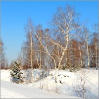 Зима :: Николай Дементьев 