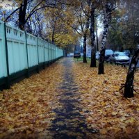 Осенний тротуар :: Ольга Кривых