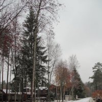 Снег в октябре :: Aнна Зарубина