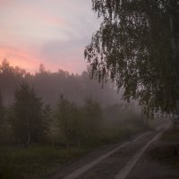 вечерний туман :: Елена Мартынова