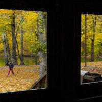 Осень из моего окна... :: Мисак Каладжян