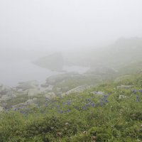 Утренний туман в горах :: Алексей Хвастунов