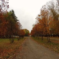Осенняя дорожка :: Алёна Naru-chan