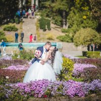 Свадьба в Краснодаре :: Юлия Гладкова
