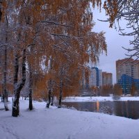 Первый снег в городе :: Татьяна Ломтева