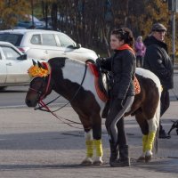 ждем-с :: Наталья Василькова