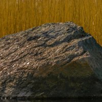 Камень и камыш :: Сергей Глотов