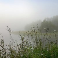 Белый туман :: Иркутский дом фотографа 