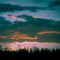 Закат над лесом :: Григорий Кучушев