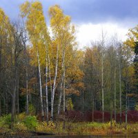 И опять - Пушкин, Царское село... :: Валентина Харламова