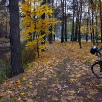 Осенняя прогулка :: Nikanor 