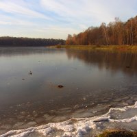 Лебедянский пруд встал - IMG_3696 :: Андрей Лукьянов