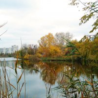 осень на реке :: георгий   петькун 