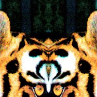 Трансформация тигра :: виталий Цицюрский