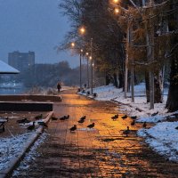 Зимняя миграция :: Виктор Калабухов