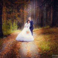 Осенняя свадьба :: Эльмира Грабалина