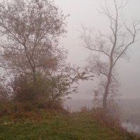 осенний туман :: valeriy g_g