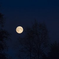 Луна :: Aнна Зарубина