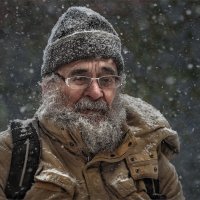 Уже зима с природой спорит... :: Александр Поляков