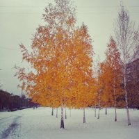 Autumn meets with Winter :: Azam Ibrahim