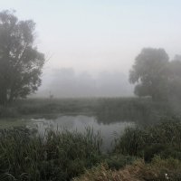 В утреннем тумане :: Сергей Михайлович