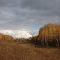 Осенний пейзаж :: Ольга  Пусова 