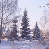 Зимний пейзаж. :: Ольга Бузунова