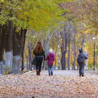 Осень в парке :: leoligra 