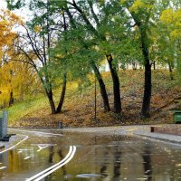 Краски осени. В парке культуры им. М. Горького в Москве :: Петр Аксенов