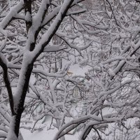 А снег идет :: Виктория Коплык