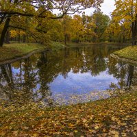 Золотая осень :: Сергей Глотов