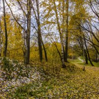 Осень :: Константин Сафронов