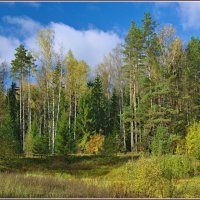 По лесу шагает осень :: Владимир Дементьев