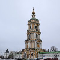 Колокольня Новоспасского монастыря :: Владимир Болдырев