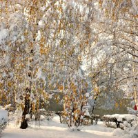 Октябрьский снегопад :: galina tihonova