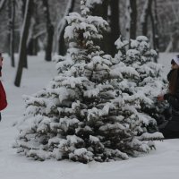 Фото :: Олег Гудков