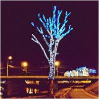 Светящееся дерево (2). :: Владимир Валов